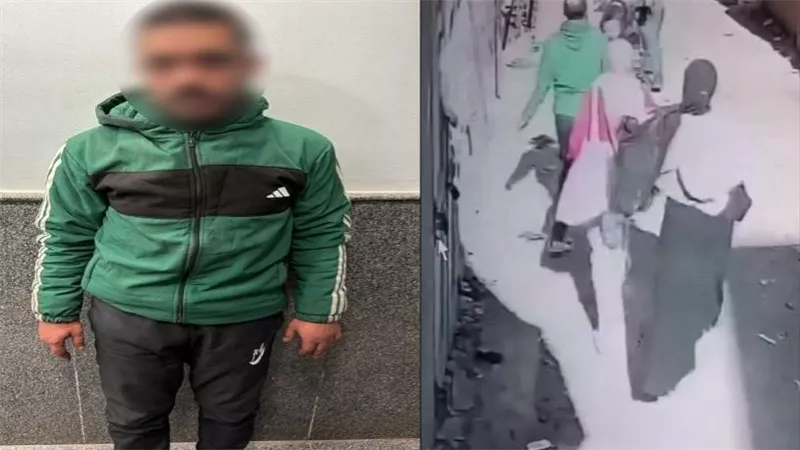  واقعة أثارت الغضب.. تفاصيل القبض على عامل تحرش بطالبة بالدقهلية | فيديو