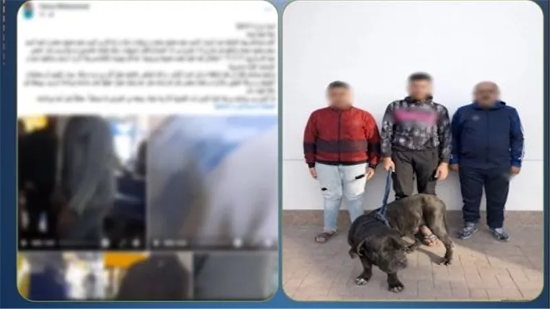 تهديد بالكلاب وسحل بالضرب.. التفاصيل الكاملة لمشاجرة الجيرة بالإسكندرية | فيديو