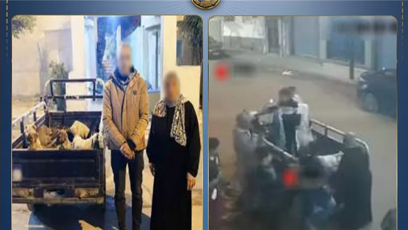 بتشوف لهم صرفة.. كشف غموض فيديو تخلص سيدة من الكلاب بالإسكندرية 