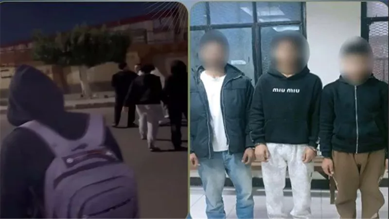 خلافات مالية.. تفاصيل القبض على المتهمين بالتعدي على طالب في البحيرة | فيديو