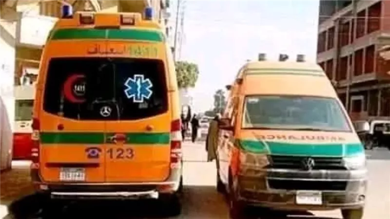 ملحقوش يفرحوا بالعيد.. تفاصيل مأساوية في وفاة طفلين بالمنوفية