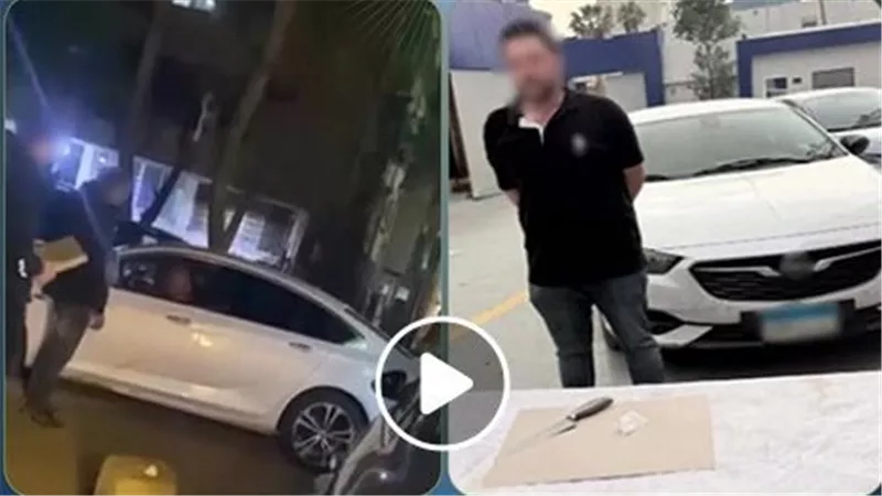 ملاحقة وتحرش لفظي..تفاصيل ضبط سائق تتبع فتاة بسيارته في شوارع القاهرة | فيديو