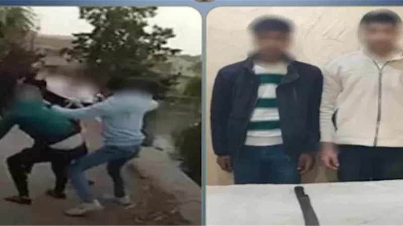 فيديو صادم.. اعتداء مروع على سائق وشقيقه في الدقهلية | شاهد