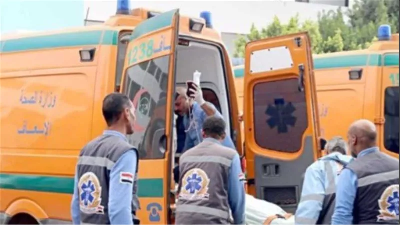 طعنها وهرب.. تفاصيل مأساوية في مصرع سيدة على يد نجلها بأسوان 