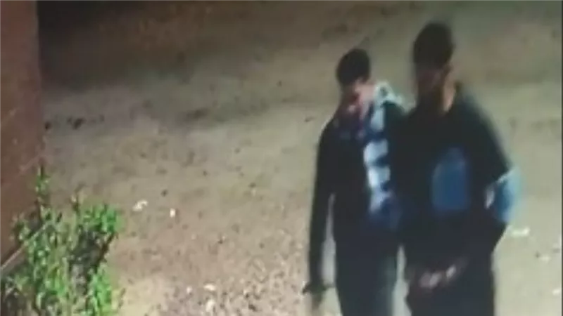 ملثم في الصالة.. مأساة أم وصغارها داخل منزلها بالدقهلية 