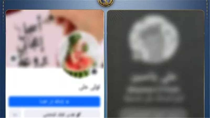 دعارة أون لاين.. تفاصيل القبض على شبكة لممارسة الأعمال المنافية للآداب في الدقهلية