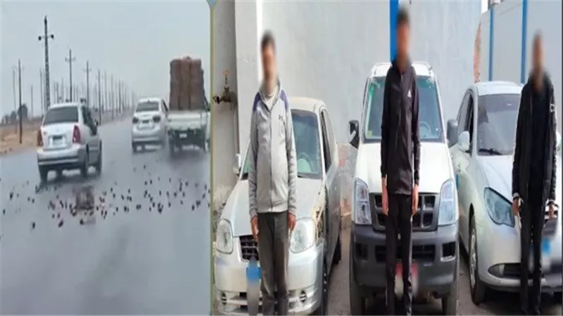  مطاردة سيارة الطماطم.. التفاصيل الكاملة للفيديو المثير للجدل | شاهد 