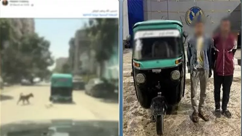 القصة الكاملة لفيديو سحل كلب بعد ربطه في توك توك بشوارع القاهرة