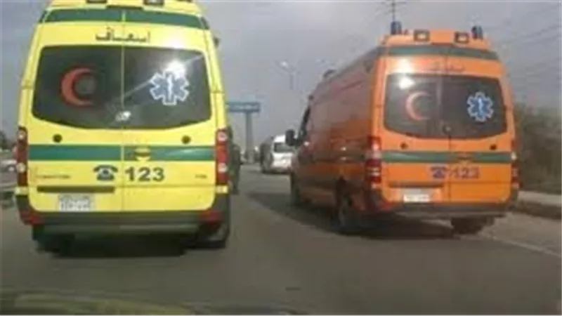 كانوا بيجروا على رزقهم.. مأساة عمال مزارع الدواجن ضحايا حادث السادات