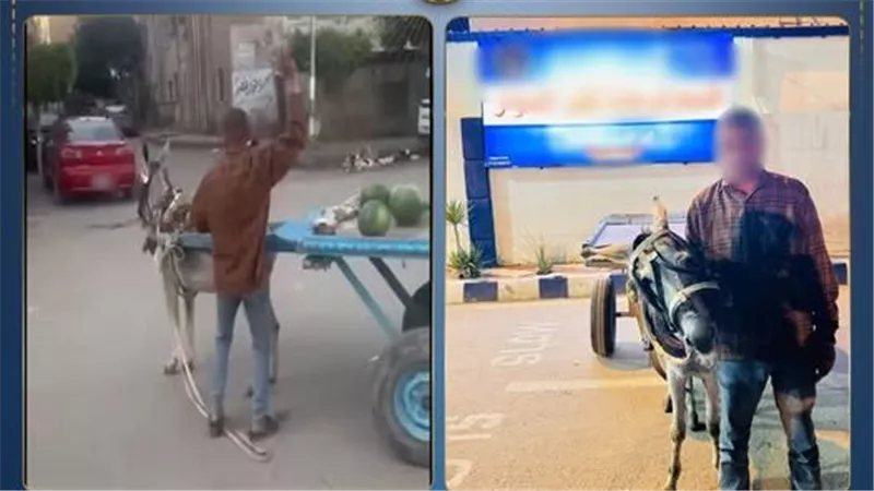 تفاصيل القبض على بائع خضروات ضرب حماره في البحيرة