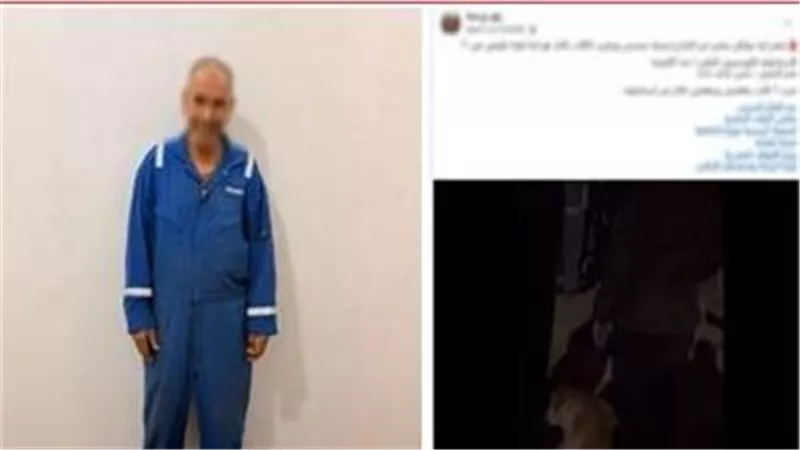 خايف على عياله.. تفاصيل ضبط المتهم بقتل الكلاب الضالة في الإسماعيلية