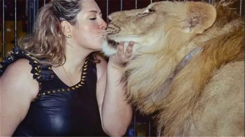 غير شرس.. ماذا قالت لوبا الحلو في إصابة طفلة بسيرك العجوزة؟