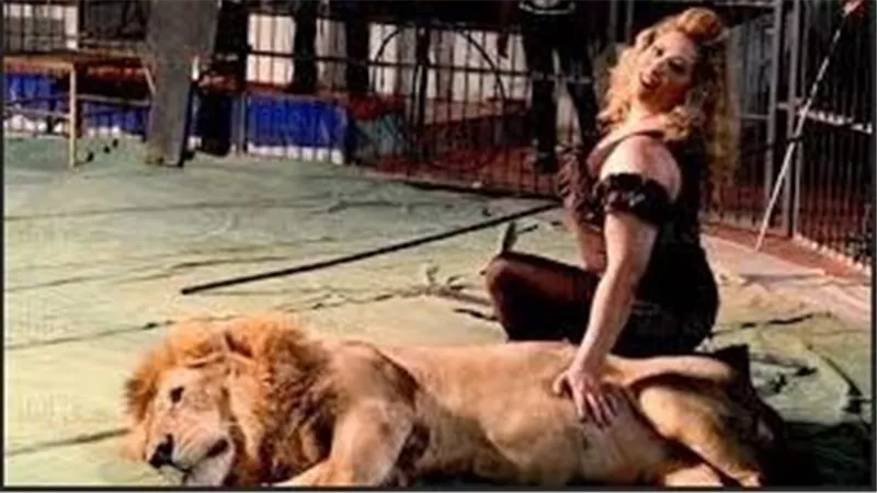 نزيف بالمخ.. تدهور الحالة الصحية للصغيرة ضحية التعدي من شبل لوبا الحلو بالسيرك القومي