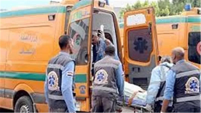جريمة هزت المرج.. تفاصيل مصرع ربة منزل ووالدتها وإصابة 5 أشخاص 