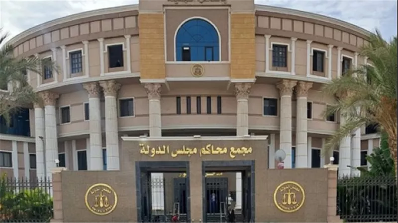 تفاصيل دعوى إنشاء المجلس القومي للرجل