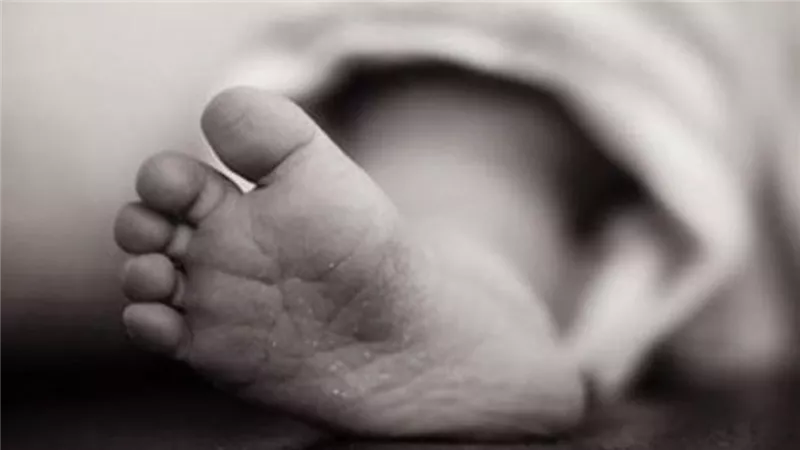  لدغة ثعبان أم جريمة؟.. لغز وفاة رضيع بالصف والجدة تحت الاشتباه 