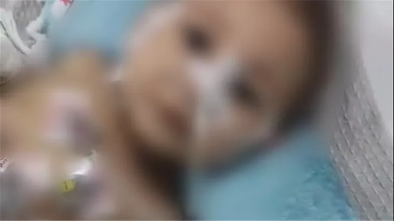  أهالي ضحية جدتها وعمتها بالصف يناشدون الصحة: أنقذوا رحمة تحتاج معدة صناعية 
