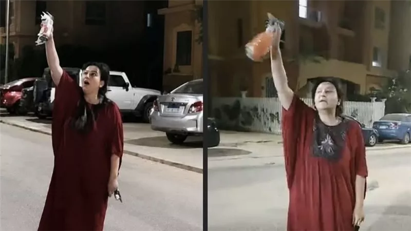  صوروني وأنا بسمم الكلاب.. تفاصيل القبض على سيدة دجلة بالمز | فيديو