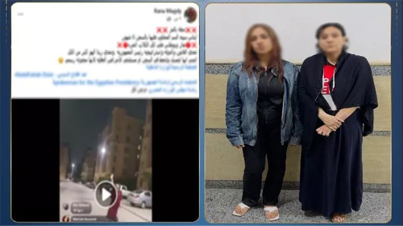 خناقة الكلاب في أكتوبر..كيف تحول إطعام الحيوانات إلى محضر شرطة ومواد كيميائية؟ 
