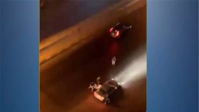 لقطات مثيرة للجدل.. حقيقة ما حدث بالطريق الزراعي بالبحيرة | فيديو