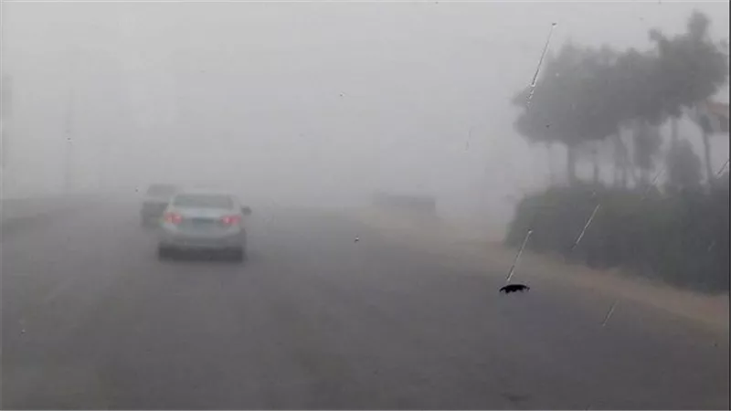 رياح وشبورة.. الأرصاد تحذر من حالة الطقس غدا الخميس 11-6-2026