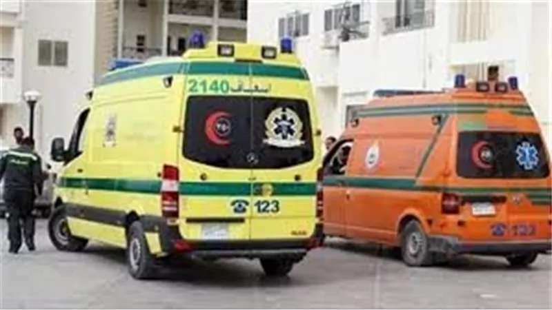 بسبب معاكسة شقيقته.. شاب يصارع الموت بعد طعنات غادرة في مشاجرة بكفر شكر