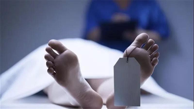 استدرجته بالحب والحنان.. تفاصيل الحكم على سيدة وعامل لقتلهما شاب بالقليوبية 