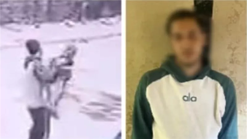 تفاصيل القبض على المتهم بإلقاء طفل على الأرض بطريقة وحشية بمنشأة ناصر 