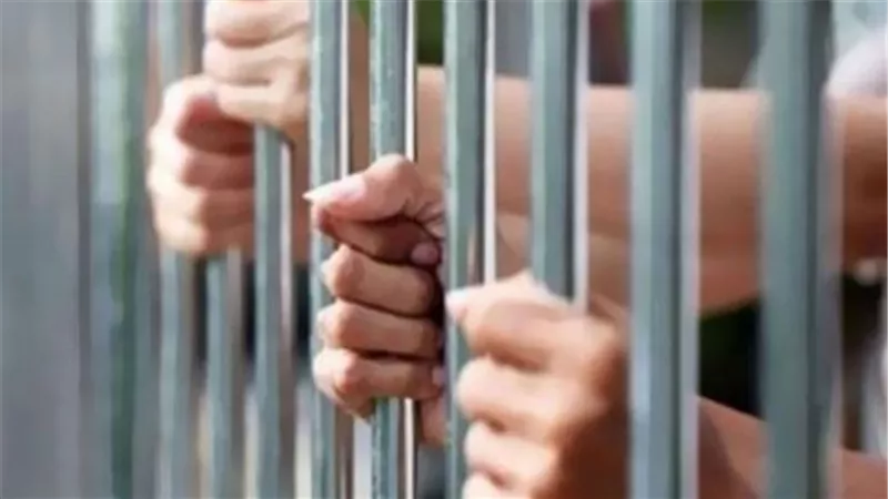 أخفى جثة والدته في صندوق ليواصل صرف معاشها.. القصة الكاملة لجريمة شقة المنتزه 