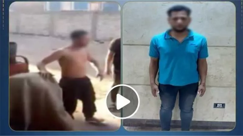 الإبن العاق أهان والديه..تفاصيل ضبط المتهم بالاعتداء على أسرته بطنطا | فيديو