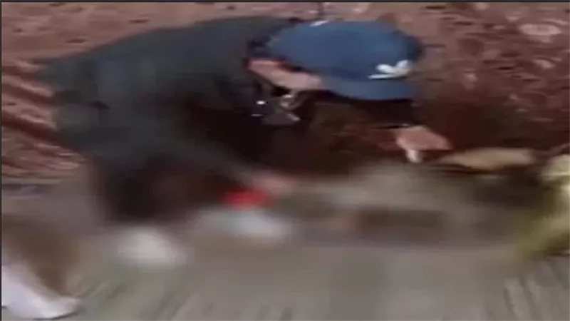 مأمورية سرية.. كواليس سقوط إمبراطور الكيف والبلطجة بأبوالنمرس
