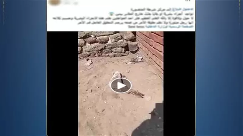 نبشتها الكلاب الضالة.. كشف لغز العثور على قدم بشرية بجوار مقابر المنصورة