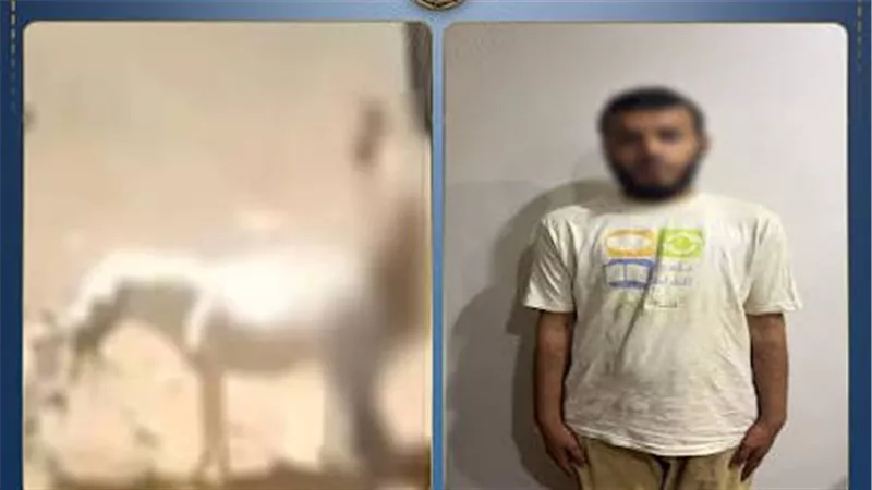 خلصت وصليت الفجر.. اعترافات صادمة للمتهم في واقعة حمارة القليوبية