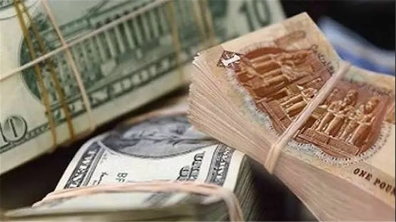 سعر الدولار اليوم السبت 11-7-2026 آخر تحديث