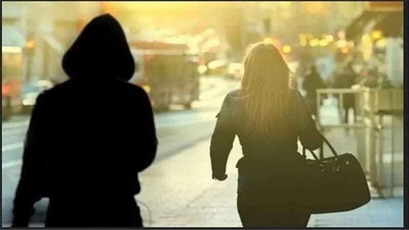 أفعال خادشة في الشارع.. تفاصيل القبض على سايس متهم بالتحرش بمحامية في حدائق القبة