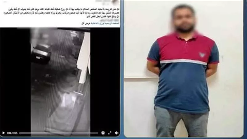 بنتي خافت منها.. تفاصيل القبض على شاب عذب قطة حتى الموت بالمحلة 