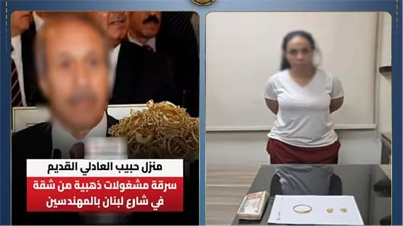 مفتاح مصطنع وصديقة الزوجة.. تفاصيل مثيرة في سرقة شقة حبيب العادلي