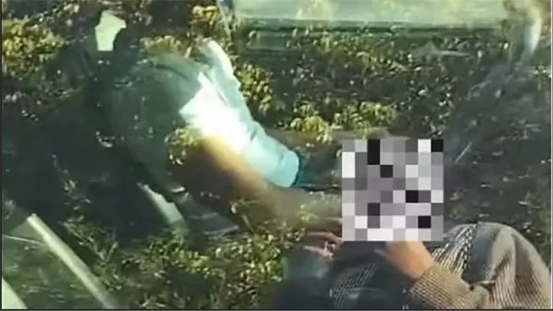 مصوراك وجايباك.. فتاة تتهم قائد سيارة ملاكي بالتحرش بها بالشروق