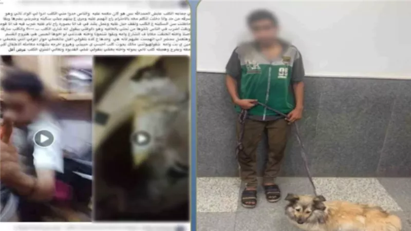 لقطات صادمة.. تفاصيل ضبط المتهم بالتعدي على كلب وتكبيله في القاهرة | فيديو