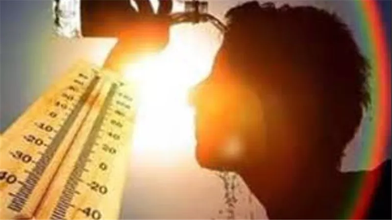 الأرصاد تحذر من رطوبة شديدة وشبورة كثيفة.. حالة الطقس اليوم الأحد 19-7-2026