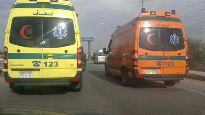 دهسهما قاصر يقود سيارة.. تفاصيل مأساوية في مصرع أب وإصابة ابنه بسوهاج