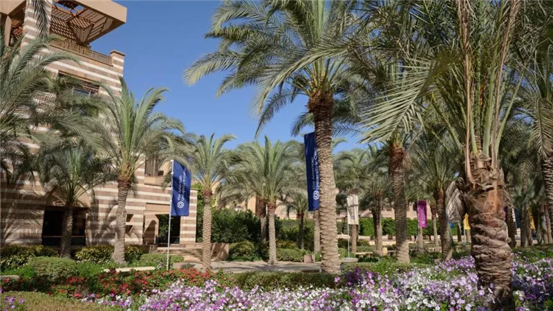 الجامعة الأمريكية بالقاهرة تطلق برنامج 