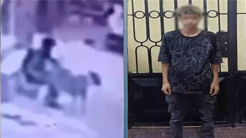 فعل غير أخلاقي وفيديو فضحه.. تفاصيل ضبط المتهم بالتعدي على كلب ضال في المنوفية 
