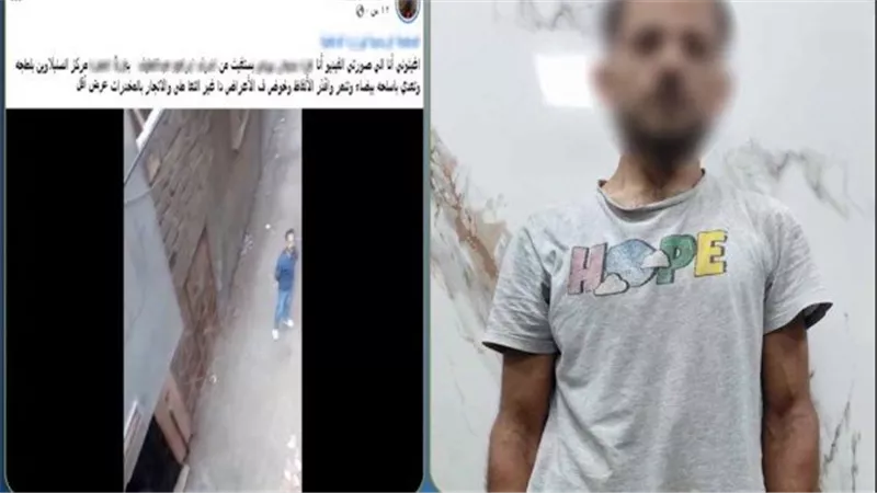 تفاصيل القبض على شخص تعدى على زوجة شقيقه بالدقهلية | فيديو