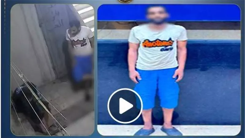 لو هتحبسوا ابني أنا مسامحاه..تفاصيل مأساة عجوز طردها ابنها من منزلها بالقاهرة | فيديو