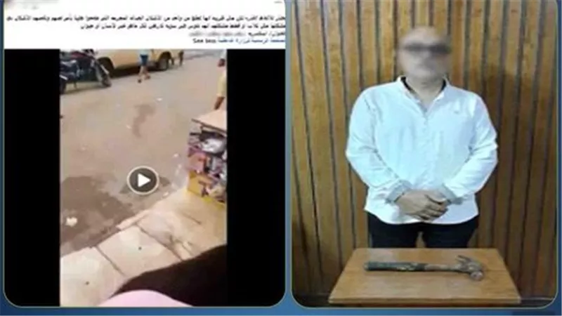 بسبب إطعامها الكلاب.. تفاصيل القبض على المتهم بالاعتداء على سيدة بالإسكندرية | فيديو