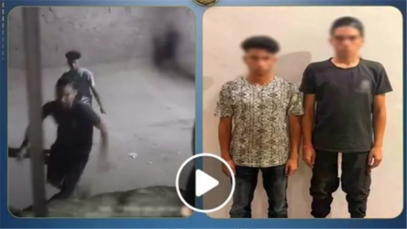 كانوا بيعاكسوها.. تفاصيل ضبط شقيقين تعديا على فتاة بالشرقية | فيديو