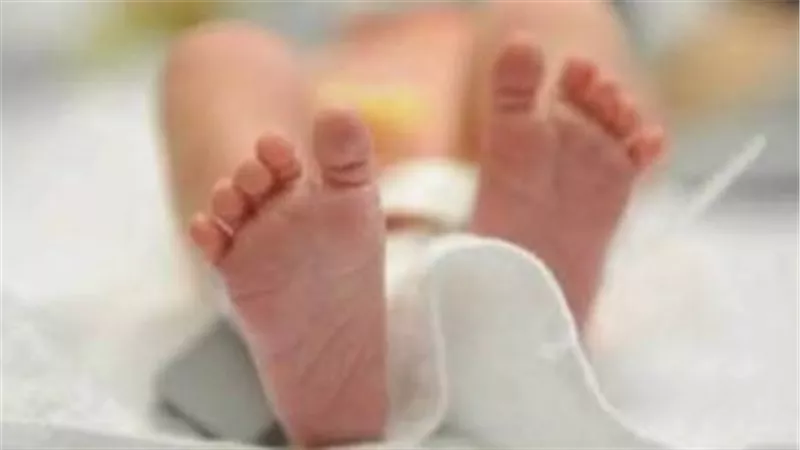 تفاصيل صادمة.. جدة تقتل حفيدها الرضيع وتدفنه في أرض زراعية بكفر الشيخ