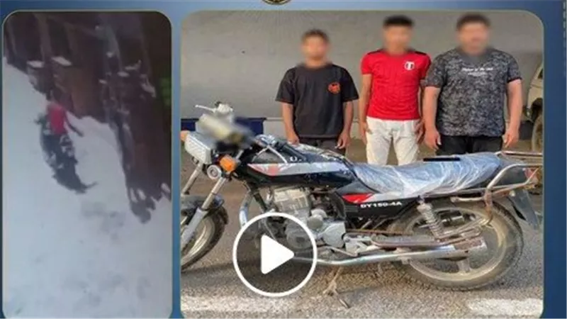 تفاصيل القبض على المتهمين بسرقة هاتف فتاة في المنوفية | فيديو