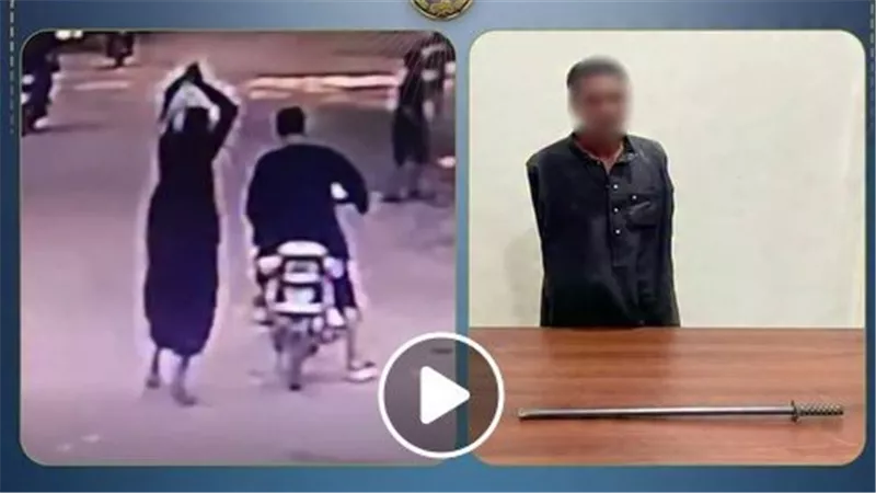 وسط الشارع.. تفاصيل ضبط المتهم بالتعدي على شقيقه بالأقصر | فيديو